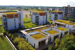 Dach zielony ; źródło: Optigrün International AG 